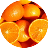 essential vitamins and nutrients