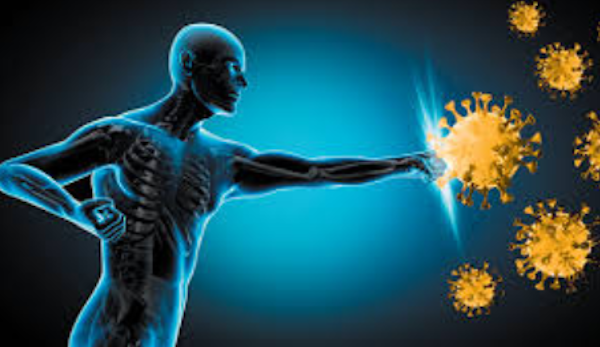 Healthy Immune Function