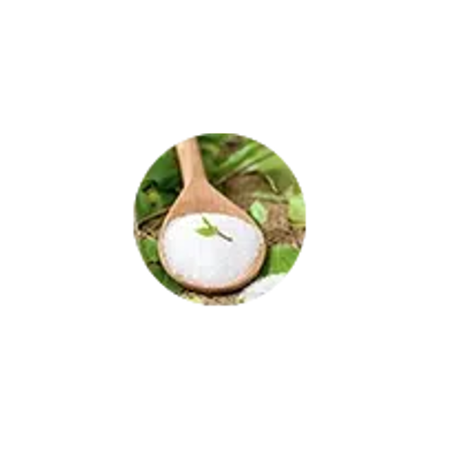 N1o1 Breath of LIfe Ingredient Xylitol