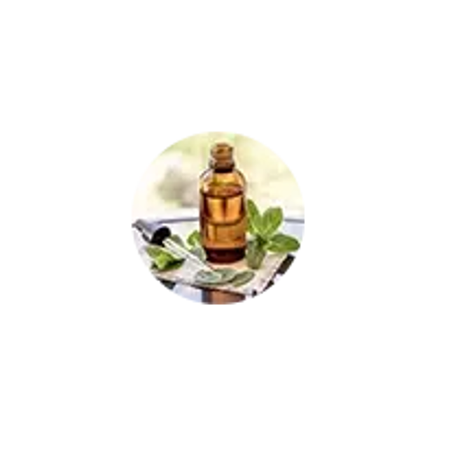N1o1 Essential Oils Lg v3