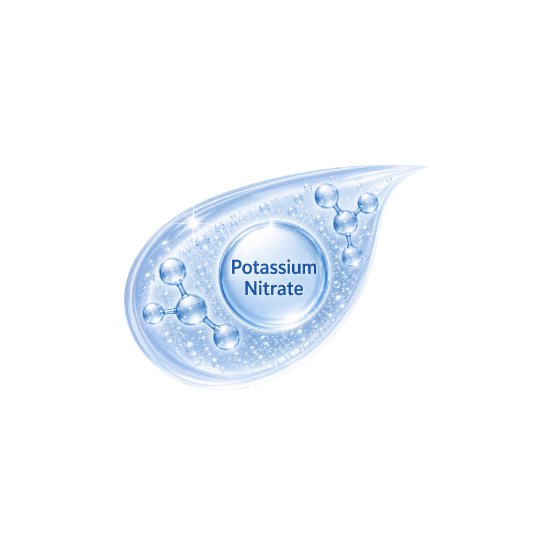 N1o1 ingredients Potassium Nitrate